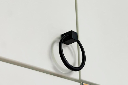 Ева Антресоль 3дв/117.01/Белое дерево/Белый матовый